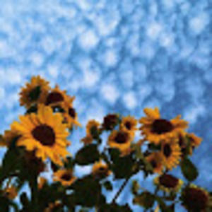 Meet your Posher, Ariane